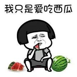 娱乐吃瓜生,吃瓜群众背后的故事